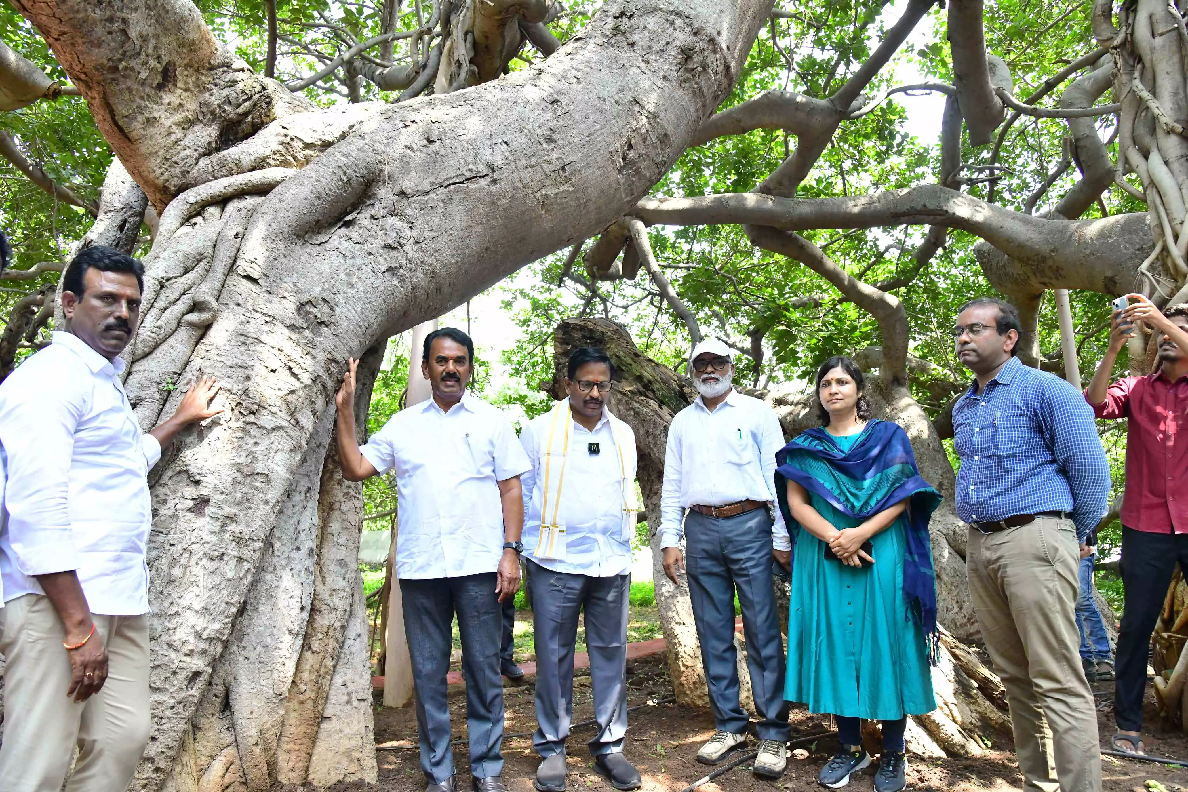 పర్యాటకుల సందర్శన కోసం పిల్లలమర్రి  పున:ప్రారంభం