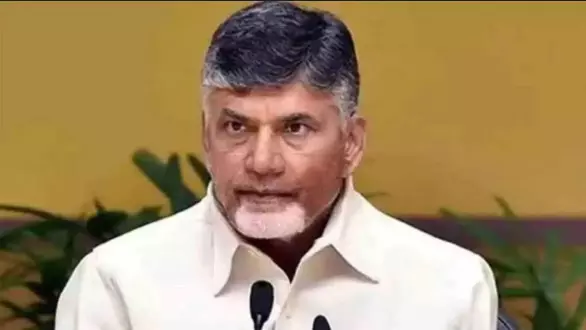 చాపకింద నీరులా చంద్రబాబు పార్టీ విస్తరణ