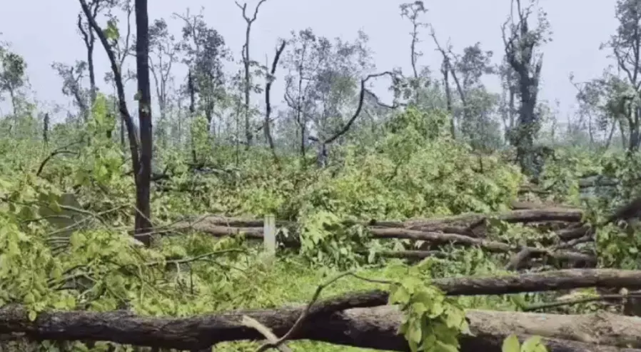 ములుగు జిల్లాలో టోర్నడో తరహా గాలుల బీభత్సం